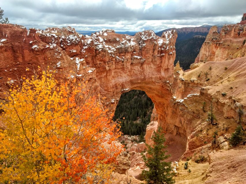 Bryce: Guided Sightseeing Tour of Bryce Canyon National Park - Why a guide changes Bryce Canyon