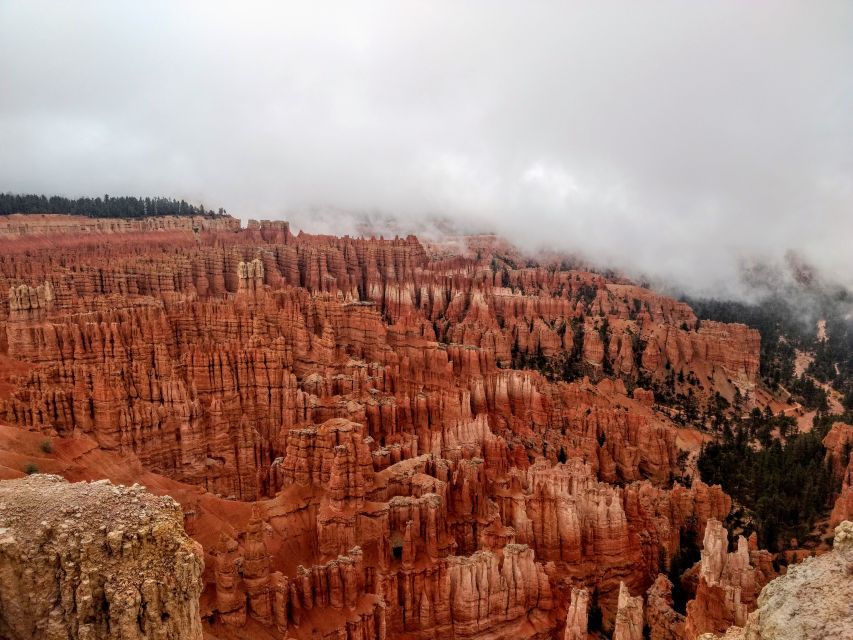 Bryce: Guided Sightseeing Tour of Bryce Canyon National Park - The Cathedral and conglomerate sections