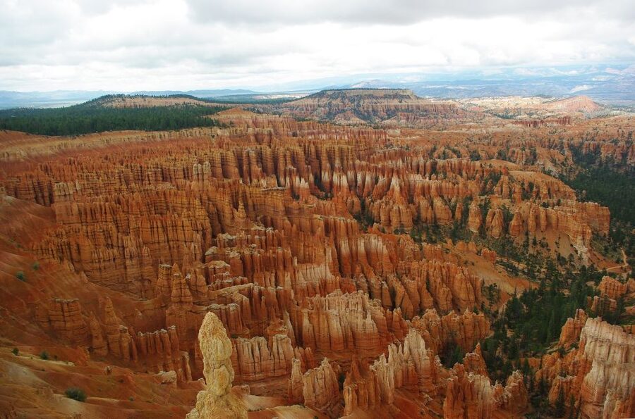 Bryce: Guided Sightseeing Tour of Bryce Canyon National Park - Inspiration Point and a little hoodoo hunting