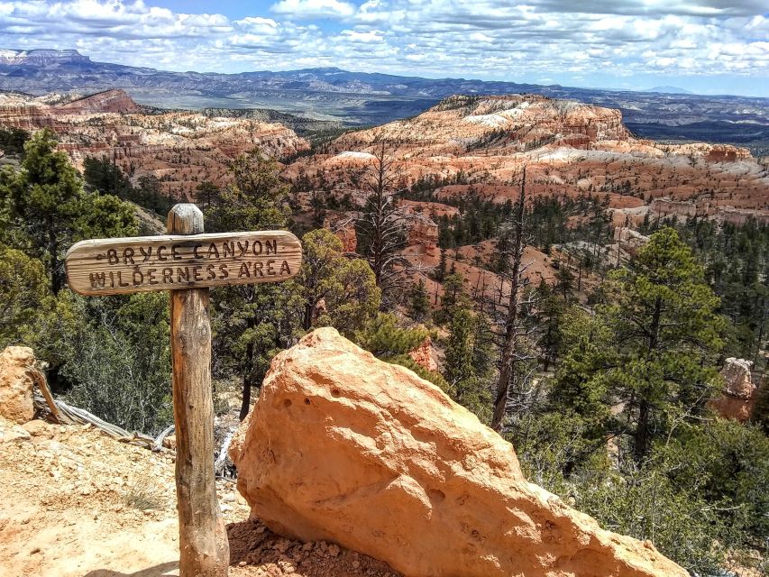 Bryce: Guided Sightseeing Tour of Bryce Canyon National Park - What the three-hour format does well