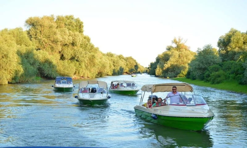 Bucharest: Day Trip to Danube Delta Small Group Premium Tour - The return to Tulcea and Bucharest