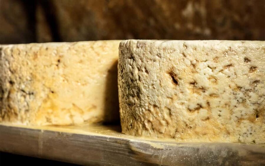 Bulnes: Excursion with funicular and Cabrales cheese cave in the Picos de Europa - Inside the Cabrales cheese cave