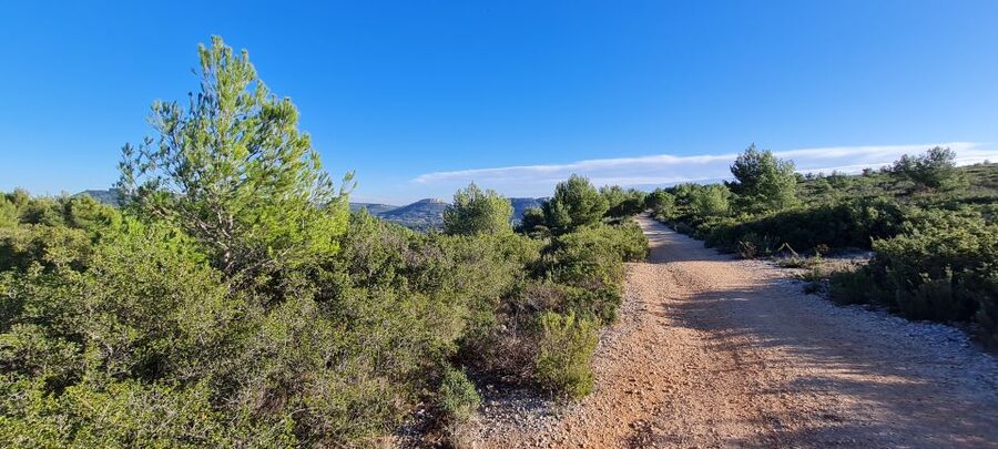 Calanques National Park: E-Mountain Bike with Virtual Guide - How much time should you choose?