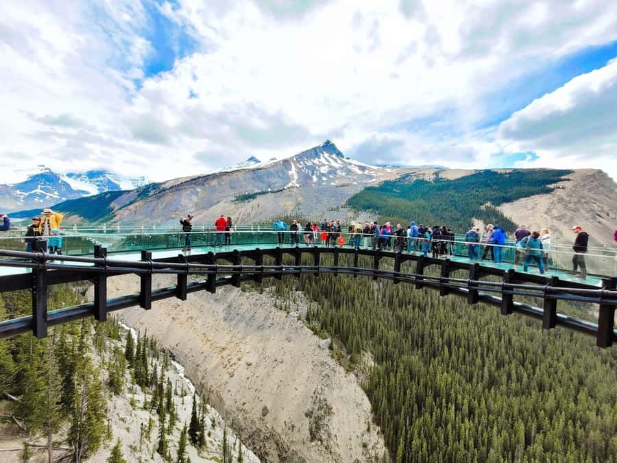 Calgary Banff: Columbia Icefield, Skywalk and Lakes Day Tour - Peyto Lake deserves your full attention