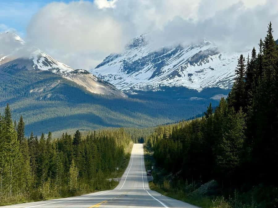 Calgary Banff: Columbia Icefield, Skywalk and Lakes Day Tour - The Columbia Icefield is the day’s main event