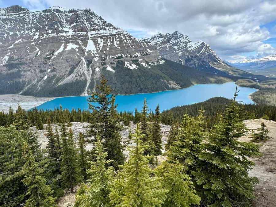 Calgary Banff: Columbia Icefield, Skywalk and Lakes Day Tour - Starting early from Calgary, Canmore, or Banff