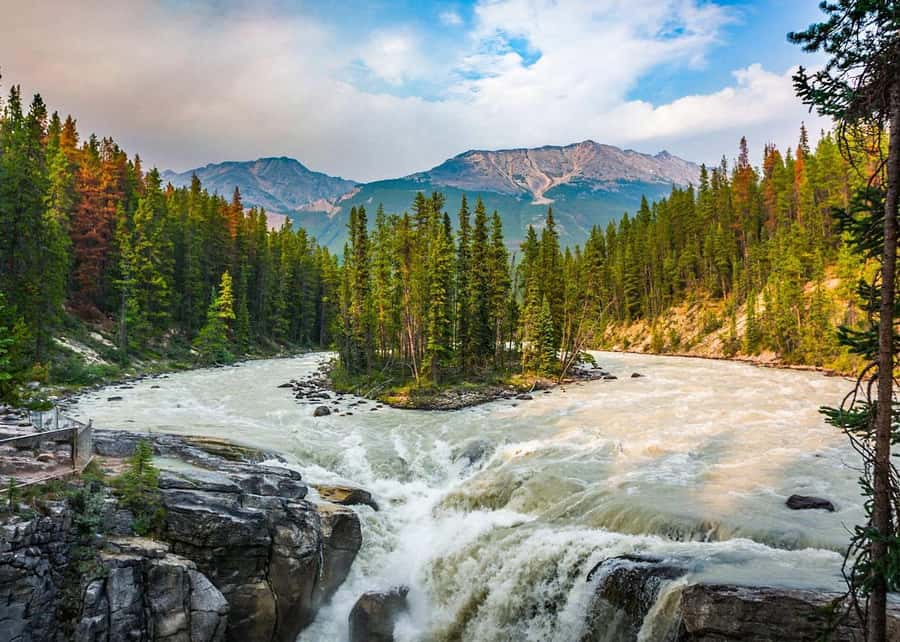 Calgary: Day Trip to Jasper with Lunch - Key points to know before booking