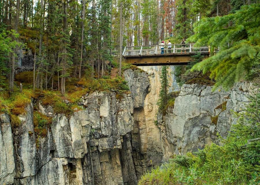 Calgary: Day Trip to Jasper with Lunch - Guides, photographs, and the small-group feel