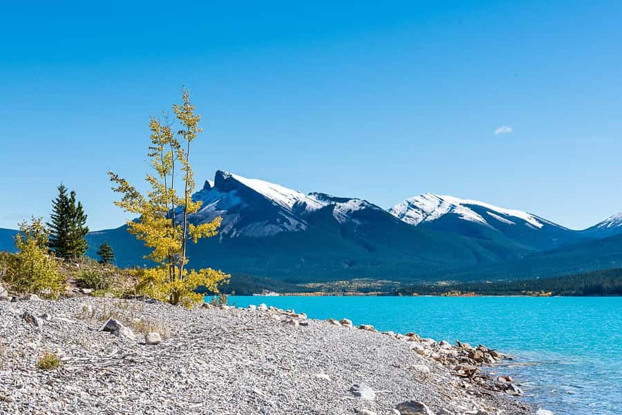 Calgary: Day Trip to Jasper with Lunch - Athabasca Glacier and the short walk on ice