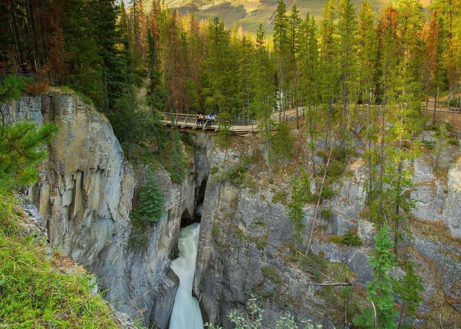 Calgary: Day Trip to Jasper with Lunch - Abraham Lake and the picnic lunch