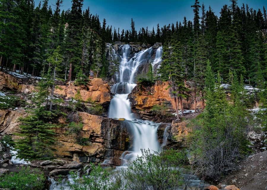 Calgary: Day Trip to Jasper with Lunch - Wildlife and responsible expectations