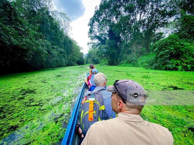 Can Tho: Lung Ngoc Hoang Forest Nature Reserve Half-Day Tour - The observation tower and seasonal rice-field views