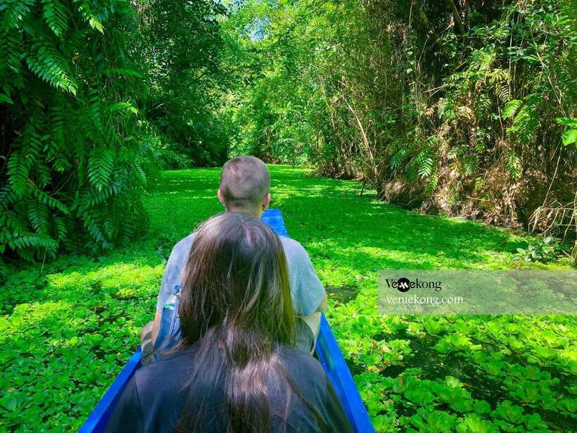 Can Tho: Lung Ngoc Hoang Forest Nature Reserve Half-Day Tour - The old giant ficus tree and wartime stories