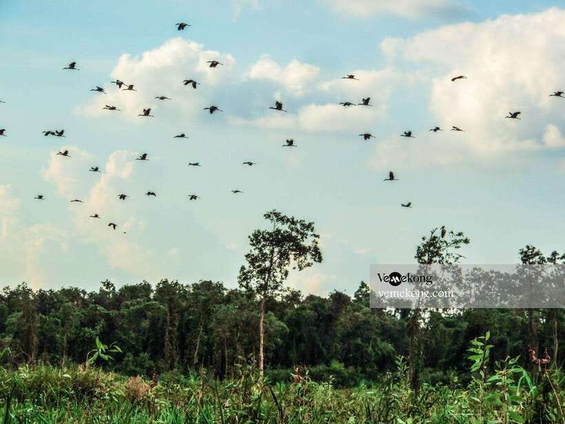 Can Tho: Lung Ngoc Hoang Forest Nature Reserve Half-Day Tour - Who will enjoy this most