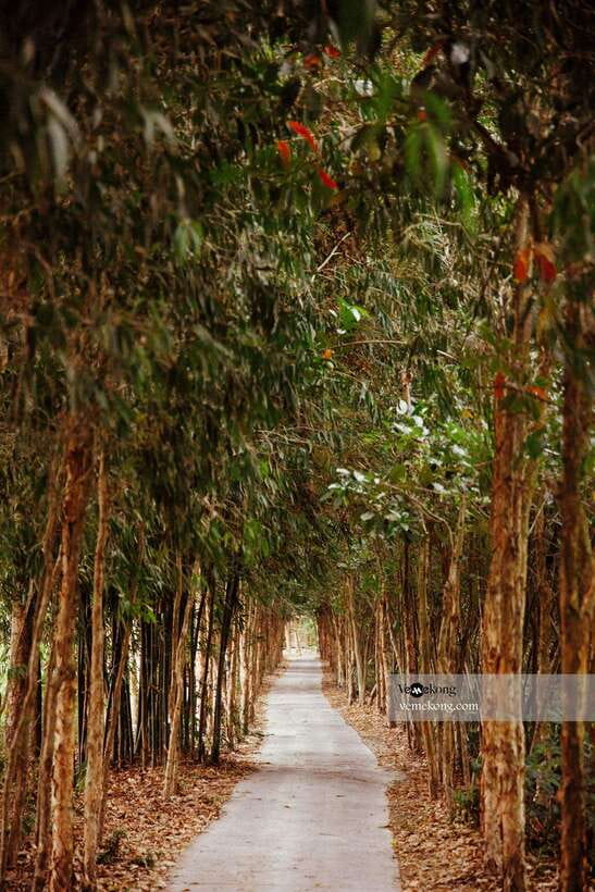 Can Tho: Lung Ngoc Hoang Nature Reserve & Forest Tour - The one-hour ride from Can Tho