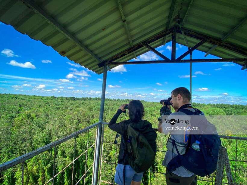 Can Tho: Lung Ngoc Hoang Nature Reserve & Forest Tour - The 25-meter tower and seasonal rice fields