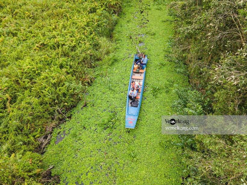 Can Tho: Lung Ngoc Hoang Nature Reserve & Forest Tour - Walking the 1.2-kilometer pancake paths