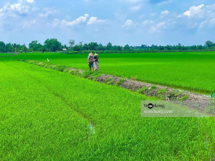 Can Tho: Lung Ngoc Hoang Nature Reserve & Forest Tour - What the guides add to the experience