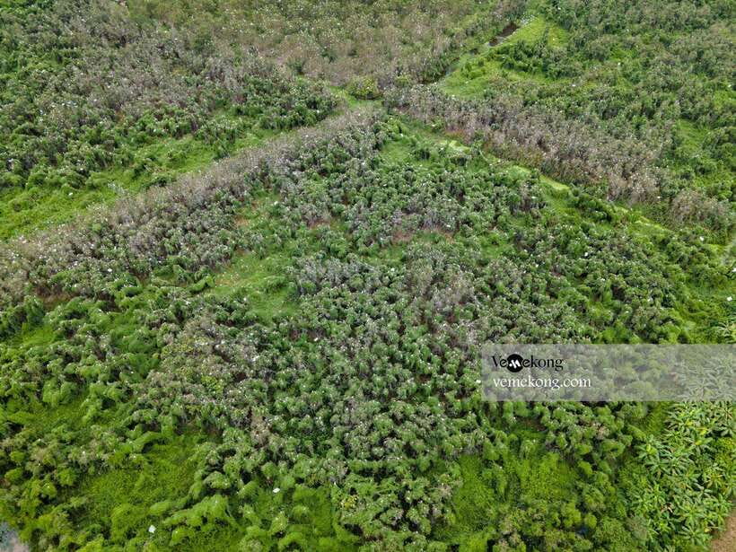 Can Tho: Lung Ngoc Hoang Nature Reserve & Forest Tour - Is $47 good value?