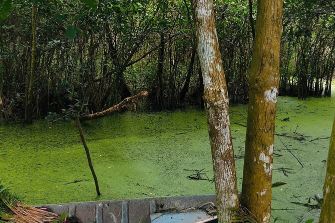 Can Tho: Lung Ngoc Hoang Nature Reserve & Hidden Forests - Birdwatching in a working wetland setting