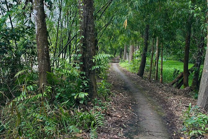 Can Tho: Lung Ngoc Hoang Nature Reserve & Hidden Forests - What the $40 price covers