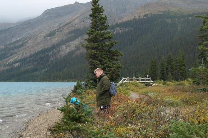 Canadian Rockies Golden Hour Tour | Lunch Included - Abraham Lake and the ancient limber pine