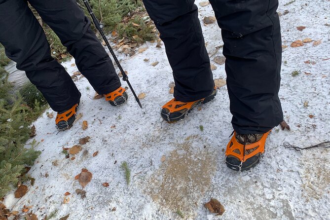 Canmore: Wilderness & Wildlife Tour - 2hr Walk - Why the small group matters