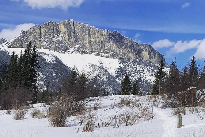 Canmore: Wilderness & Wildlife Tour - 2hr Walk - What the three-hour schedule feels like