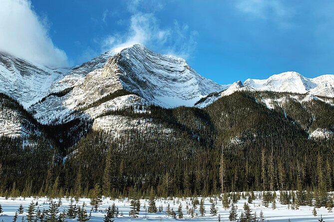 Canmore: Wilderness & Wildlife Tour - 2hr Walk - A closer look at the guides