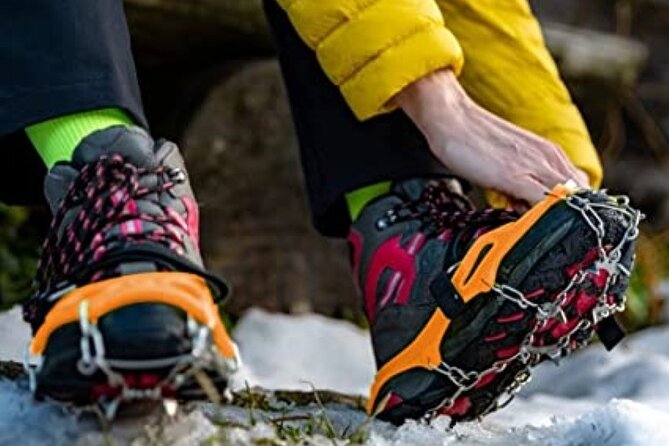 Canmore: Wilderness & Wildlife Tour - 2hr Walk - Weather, cancellations, and the practical details