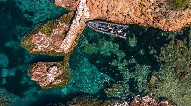 Cannes: 2.5-Hour Esterel Calanques Boat Excursion - Why the Esterel coast is best seen from a boat