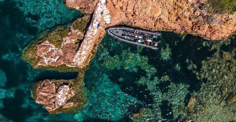 Cannes: 2.5-Hour Esterel Calanques Boat Excursion - What the Black Tender ride feels like
