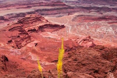 Canyonlands National Park Backcountry 4×4 Adventure from Moab