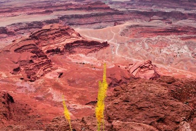 Canyonlands National Park Backcountry 4x4 Adventure from Moab - Riding the Shafer Trail switchbacks