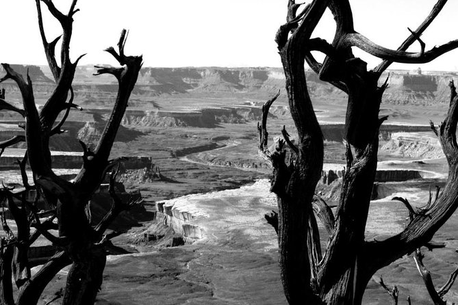 Canyonlands National Park Half-Day Tour from Moab - Morning, afternoon, or sunset changes the feel