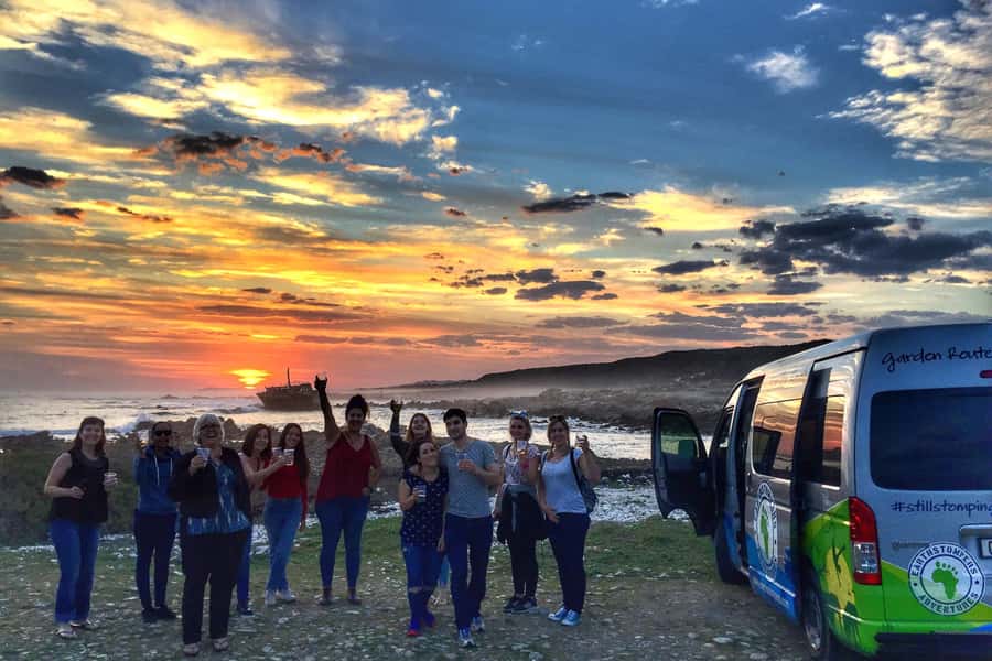 Cape Town: Garden Route and Addo Elephant Park 6-Day Safari - Six things to know before you book