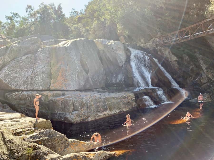 Cape Town: Garden Route and Addo Elephant Park 6-Day Safari - Day five: an Addo morning with the Big Five
