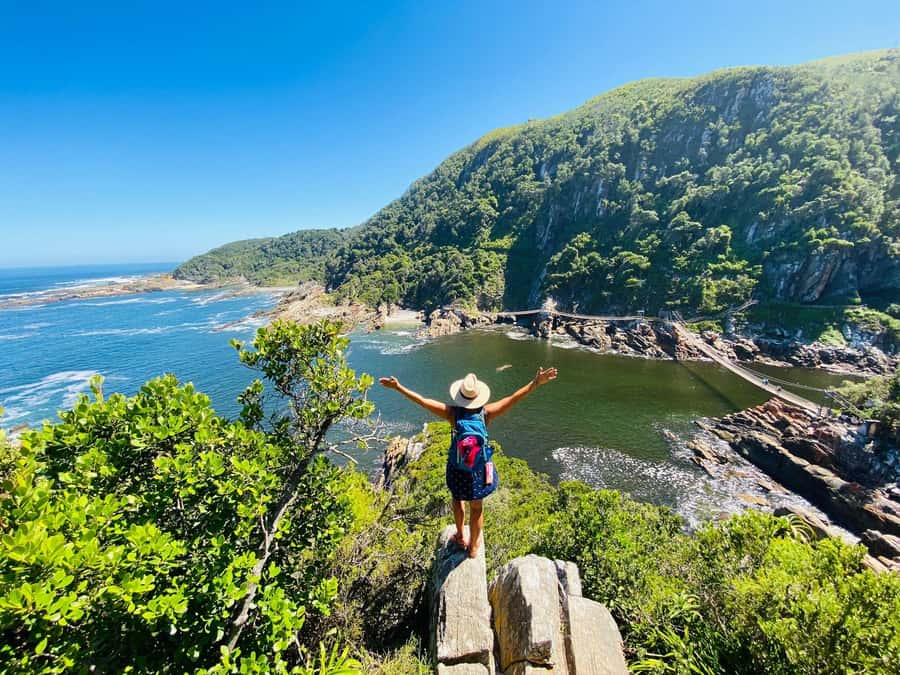 Cape Town: Garden Route and Addo Elephant Park 6-Day Safari - Accommodation, meals, and group style