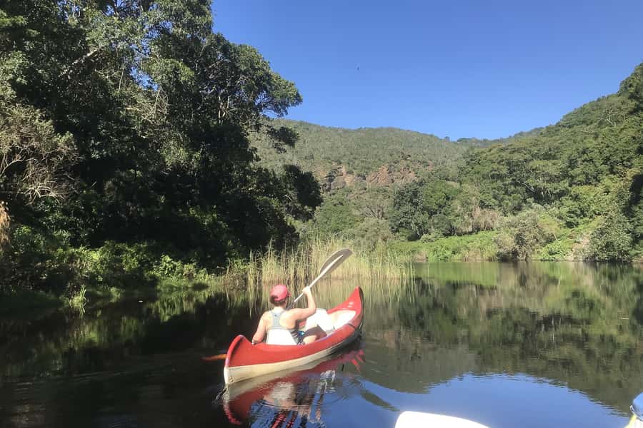 Cape Town: Garden Route and Addo Elephant Park 6-Day Safari - Day one: penguins, Hermanus, and Africa’s southern tip