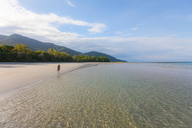 Cape Tribulation & Daintree Wilderness (TCT) - Crocodile Express: patience helps on the Daintree River