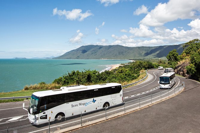 Cape Tribulation & Daintree Wilderness (TCT) - Guides make the long coach hours worthwhile