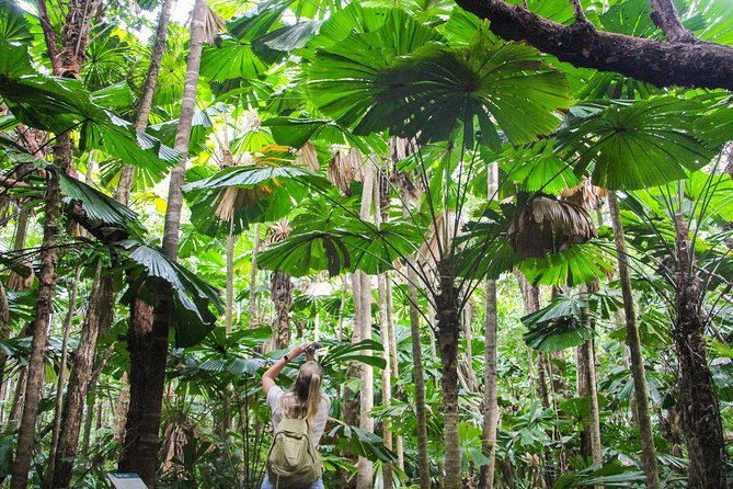 Cape Tribulation & Daintree Wilderness (TCT) - Wildlife Habitat Port Douglas: a strong opening stop