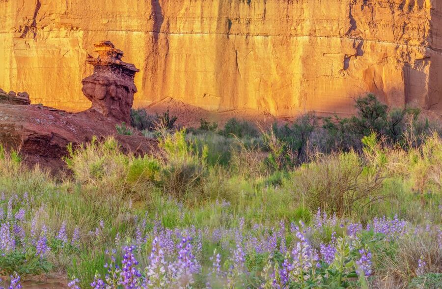 Capitol Reef National Park: Cathedral Valley Day Trip - The Temples of the Sun and Moon