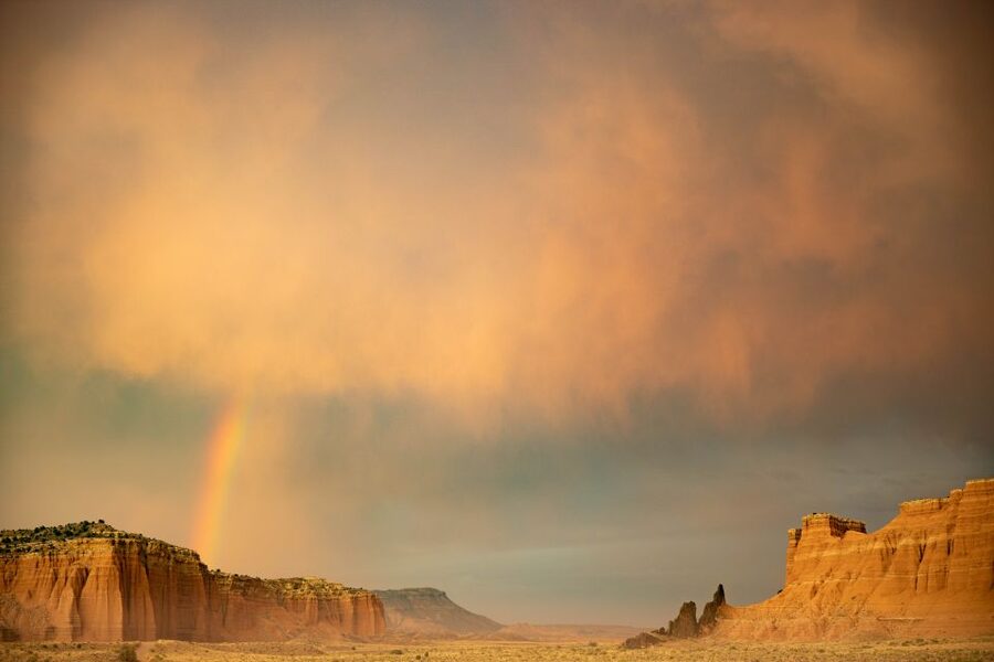 Capitol Reef National Park: Cathedral Valley Day Trip - Midway break and optional lunch