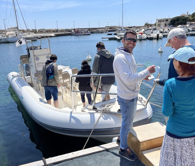 Cargèse: Calanques of Piana Capo Rosso Semi-Rigid Boat Tour - What the $58 price gets you