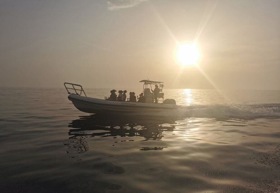 Cargèse: Calanques of Piana Capo Rosso Semi-Rigid Boat Tour - Who should book this experience