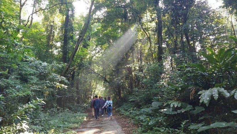 Cat Ba: National Park Day Trip with Cycling and Kayaking - Kayaking and swimming in Lan Ha Bay