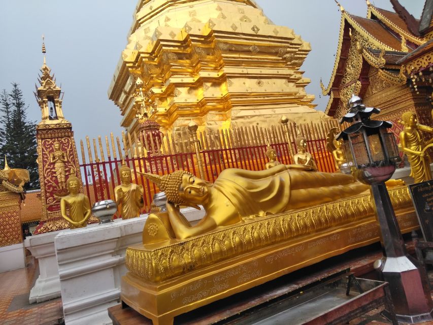 Chiang Mai: 7-Hour Doi Suthep National Park Summit Hiking - Who should book it