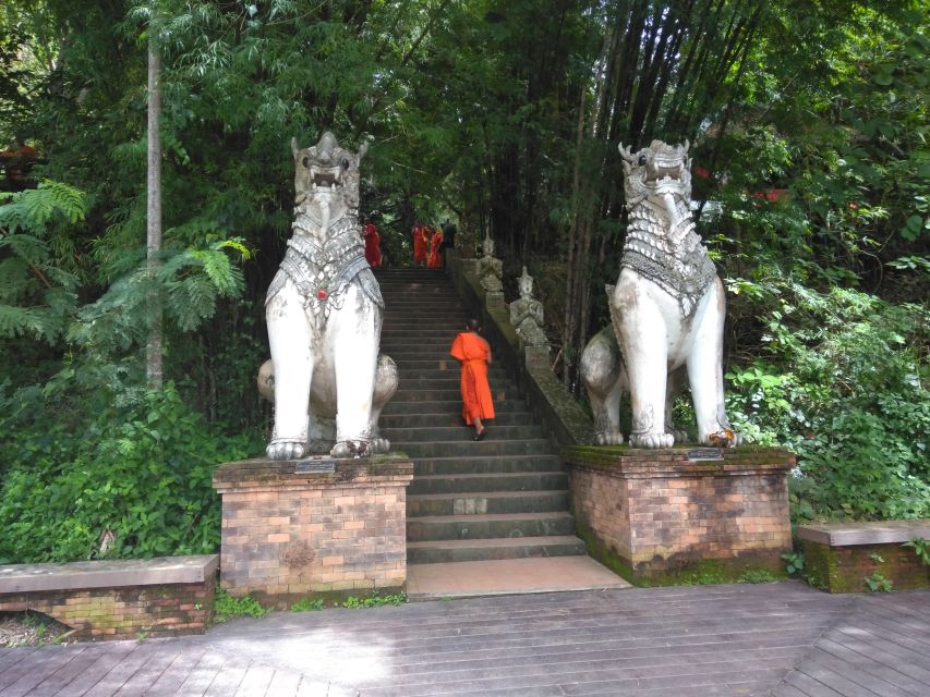 Chiang Mai: 7-Hour Doi Suthep National Park Summit Hiking - Wat Phra That Doi Suthep and the city below