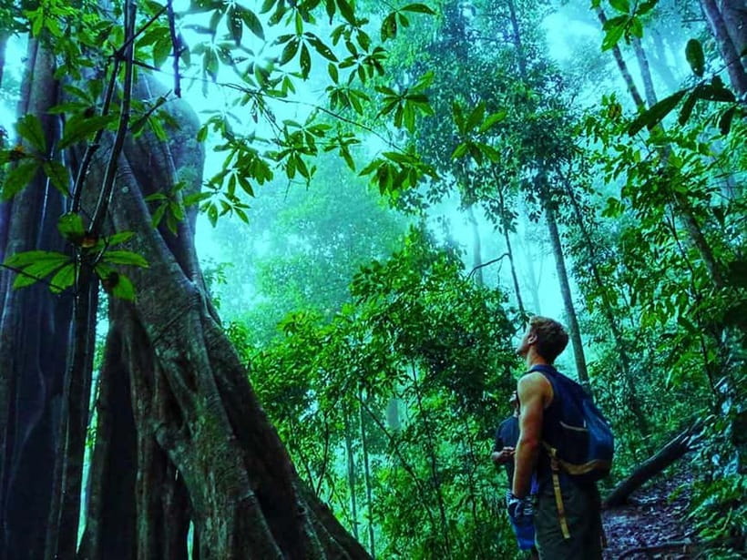 Chiang Mai: 7-Hour Doi Suthep National Park Summit Hiking - The hard section through Doi Suthep-Pui National Park
